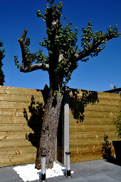 Photo n°3 de Club Le Bilitis à Plounérin (Club de divertissement pour adultes)