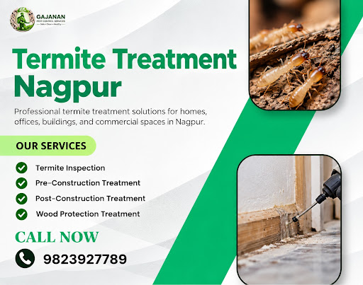 🌿 Our Termite Control Services: post image