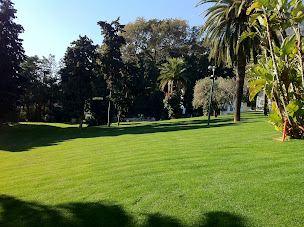 Photo n°4 de TERRE DU SUD à Nice (Jardinier)