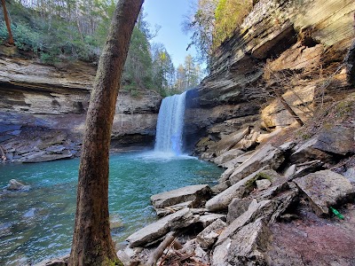 Savage Gulf State Natural Area