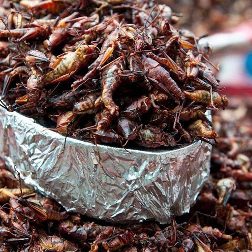 Chapingo Organic Market - Thumbnail