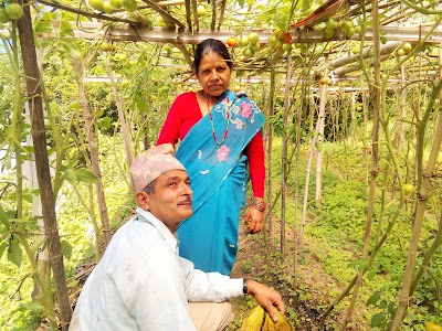 Photos of Khimlal-Rama Agro Farm