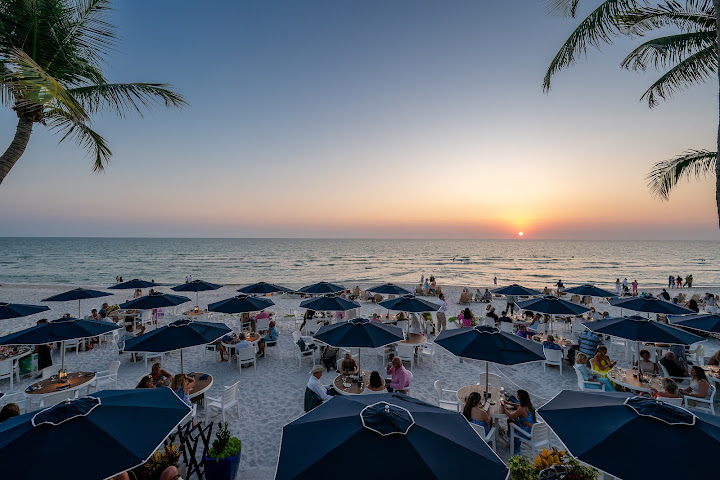 The Turtle Club by null