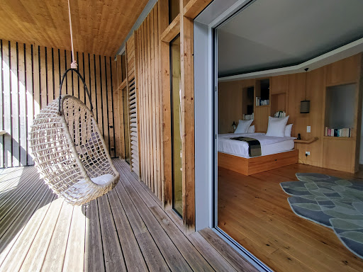 Photo de Les échasses à Saubion (40230)