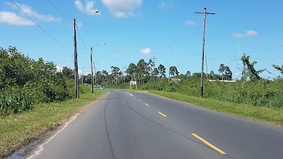Photos of Barama Company Limited (Timber Dealers)