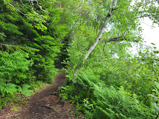 Irishtown Nature Park - UNESCO Fundy Biosphere Reserve Amazing Place - Thumbnail