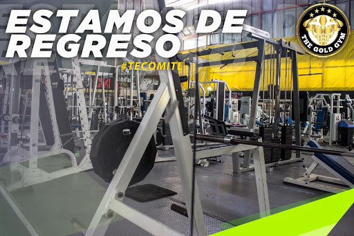 The Gold Gym II Tecomitl - Thumbnail