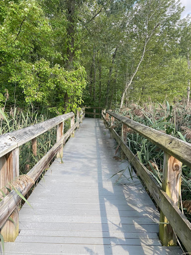 Howland Wildlife Preserve Trail Boardwalk - United States