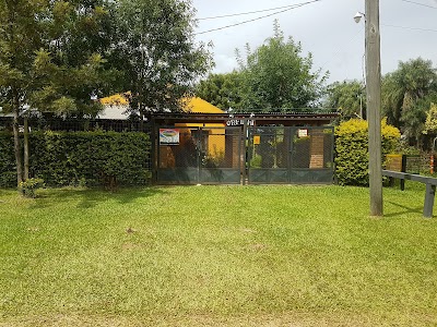 Photos of Orfilia