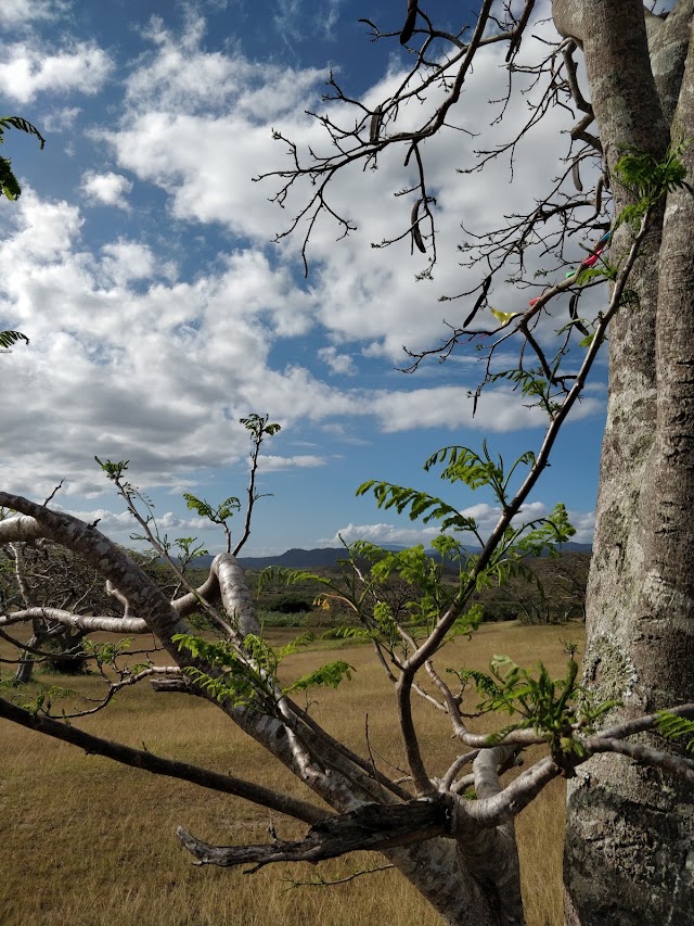 Fort Teremba