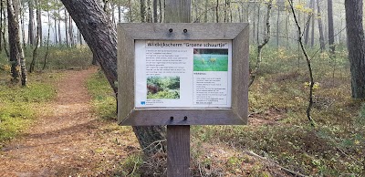 Wildkijkscherm "Groene schuurtje"