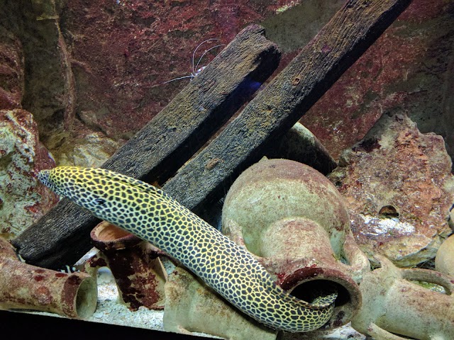 Grand Aquarium Saint Malo