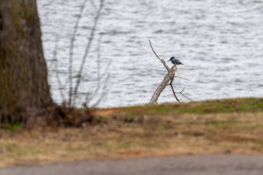 Cove Road Campground at Fort Cobb State Park - Thumbnail