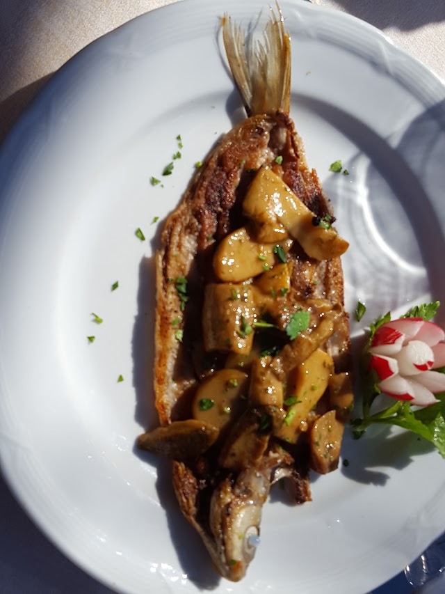 Albergo Ristorante Vapore