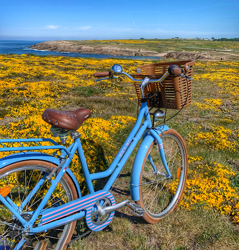 Beach Bikes - La Cotinière - Location de Vélo - Thumbnail