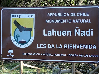 Photos of Monumento Natural Lahuen &Ntilde;adi