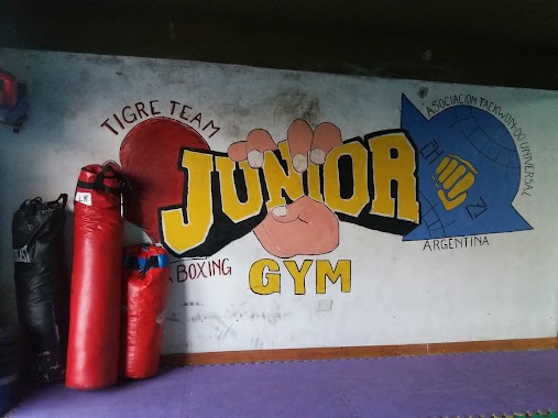 Junior Gym, Author: Facundo Nicolas Flores