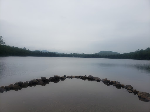 Ricker Pond's Lookout - Thumbnail