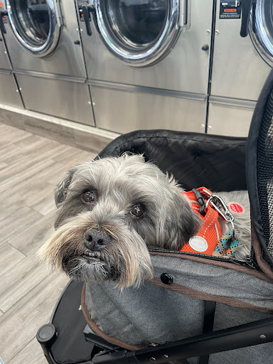 Downeck Laundromat - Thumbnail
