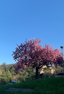 Massages Vaugneray Shiatsu et Thaï Stéphanie Colombin à Vaugneray