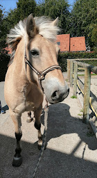 Photo n°10 de Centre équestre du colombier à Offranville (Centre équestre)