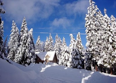 Tamarack Ski Resorts, Weather & Snow Report