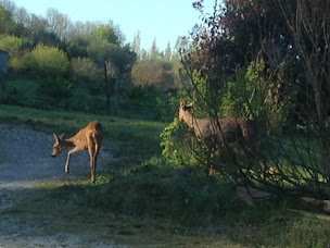 Photo n°7 de la maison de Christelle à Ablon (Chambre d'hôtes)