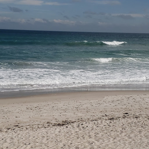 Brevard Barrier Island Reef at Pelican Beach Park 28.168561, -80.584314 - Thumbnail