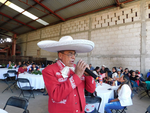 Vico Show Musical, Cantantes Solistas