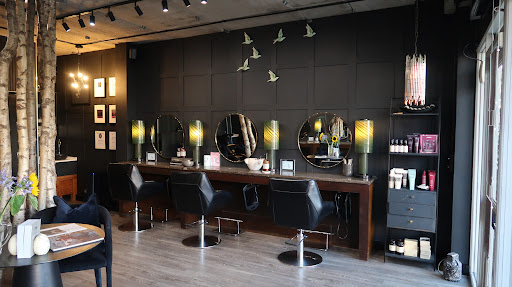 Tracy Walker Hair Salon