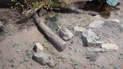 Photos of Exotarium Oberhof