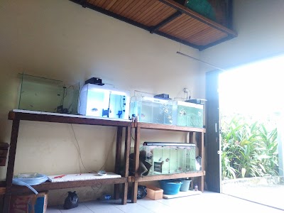 photo of Danudanan Fish Corner