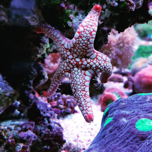 Oceans Below - Visual