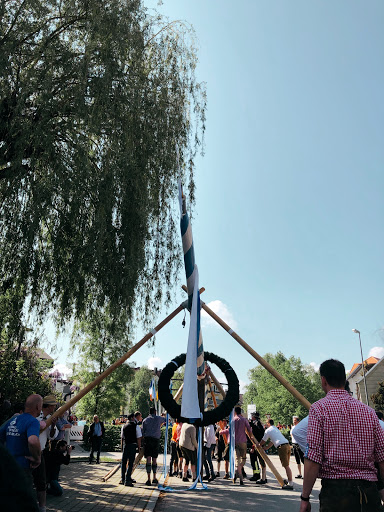 Maibaum Olching - Thumbnail