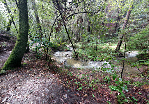 Fall Creek Unit Gallery - United States
