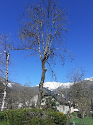 Photo n°3 de SARL ATTM à Vignec (Travaux généraux)