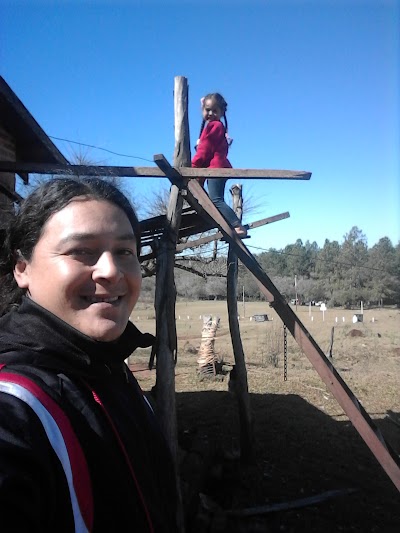 Photos of Camping Municipal