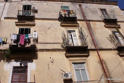 Photos of University of Campania Studies "Luigi Vanvitelli"