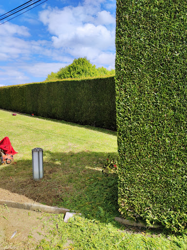 Jardinería Y Forestal Roberto Podas En Altura - Thumbnail
