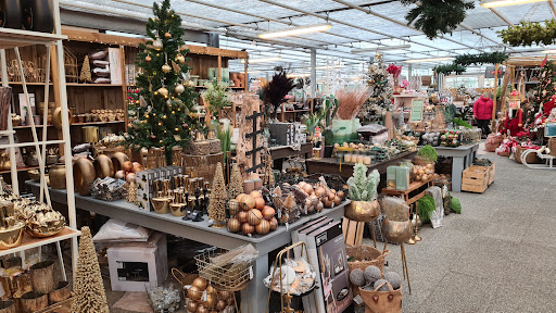 Garden Centre Plants and Such