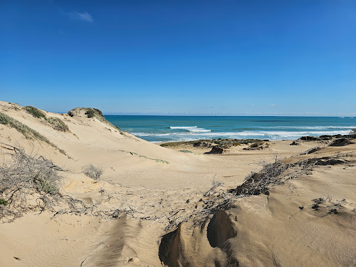 Beachport Conservation Park Logo