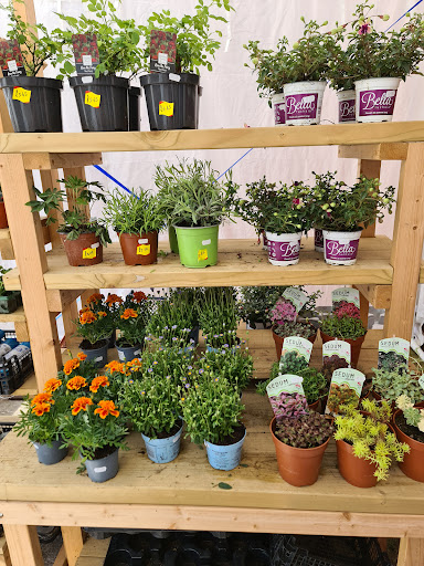 Veggie Patch Farm Shop - Thumbnail