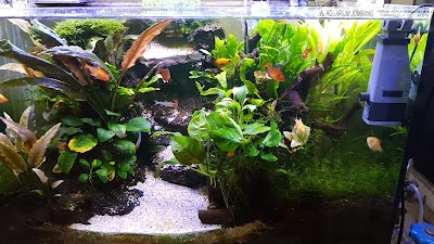 Photos of Bhayangkara aquarium