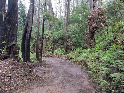 Molokaʻi Forest Reserve