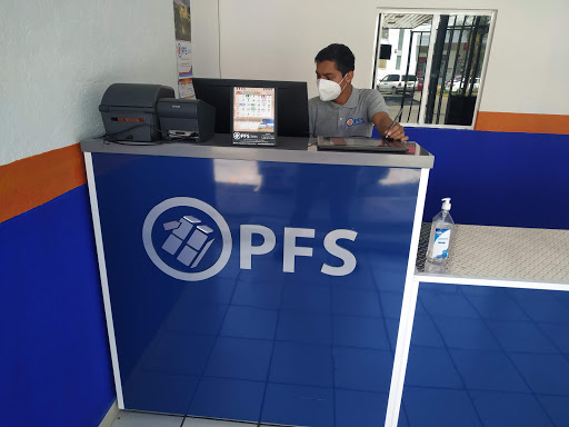 PFS Paquetería y fletes del sur Irapuato - Thumbnail