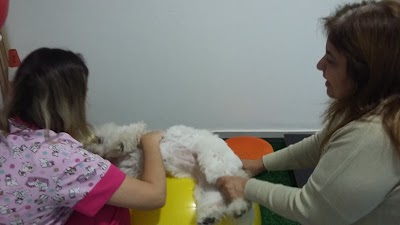 Photos of Cl&iacute;nica Veterin&aacute;ria Bicho & Cia