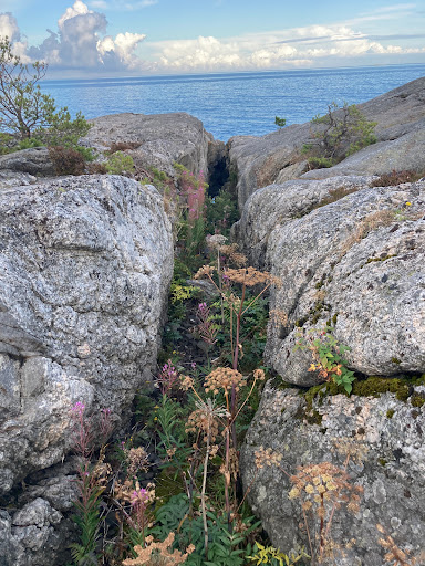Stora Ravinen Gallery - Sweden