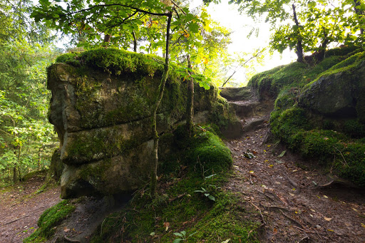 Wernloch - Thumbnail