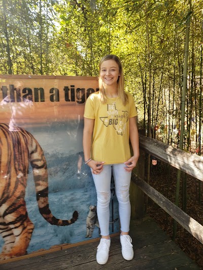 High Ropes Adventure Course at Hattiesburg Zoo