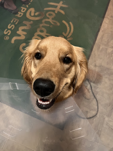 Hampstead Animal Hospital